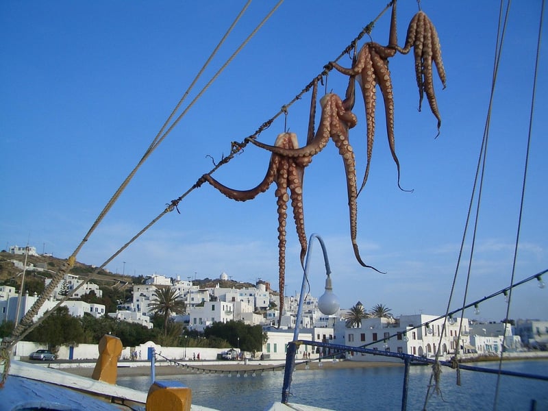 Kraken